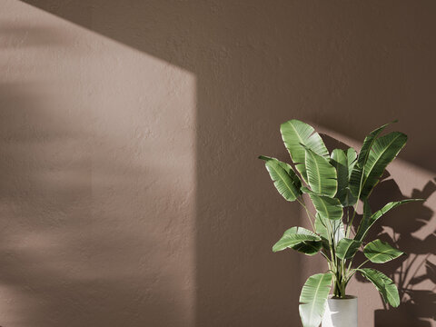 Warm brown wall background with large green leaves and soft window light shadows.