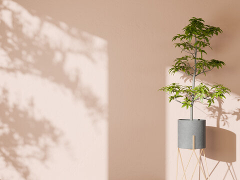 Pale pink wall background with a tall potted plant and soft shadows of leaves.