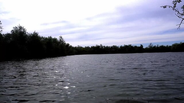 Oxbow lake with water, view from riverbank with tugai forest