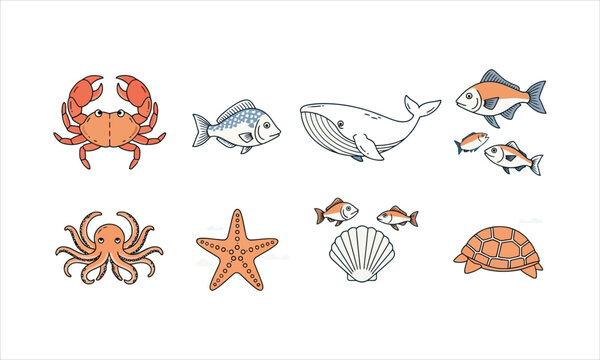 Assortment of marine life and shells with vida marina estrella de mar ilustraci n gr ficos