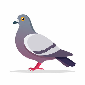 Stylized illustration of a pigeon