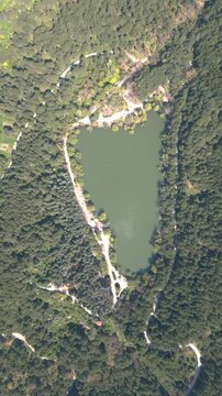 Aerial View of Karagol Lake Surrounded by Dense Green Pine Forest in Izmir Turkey. High quality 4k footage