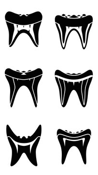 Set of stylized black and white tooth icons with detailed roots and cusps
