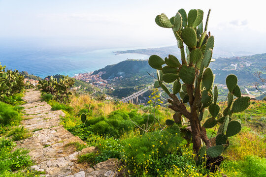 Stone path and cactus overlooking the sea in Taormina Sicily