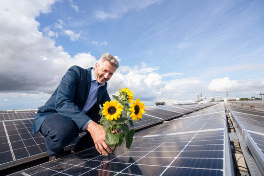 Happy businessman keeping sunflower pot on solar panel under cloudy sky