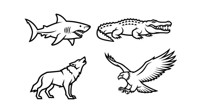 Line art illustrations of shark alligator wolf and eagle on white