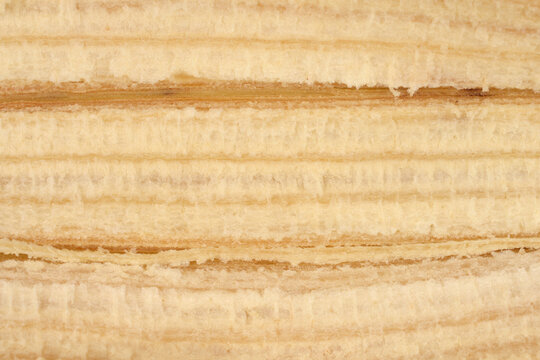 A detailed macro shot showing the fibrous and porous inner texture of a banana peel with parallel horizontal ridges in pale yellow tones