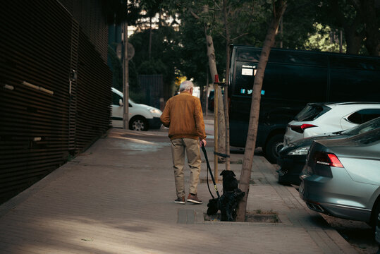 Personas que pasean sus perros