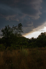 Fototapeta premium Dramatic dark storm clouds over a wild meadow and forest landscape at sunset in Polesie, Poland