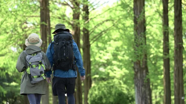 新緑の春の森の中を歩く夫婦のアウトドア、登山やトレッキングなどの運動イメージ上半身の笑顔の動画　スローモーション顔無しの後ろ姿