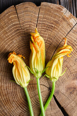 Overhead zucchini blossoms placed on tree trunk wooden surface. Fresh edible flowers with natural rustic texture and organic look © Ivan Kmit