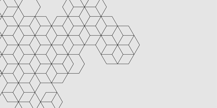 Abstract background with honeycombs seamless pattern hexagon. Geometric white background black line. black hexagon on white background. Abstract elegant background black line texture.