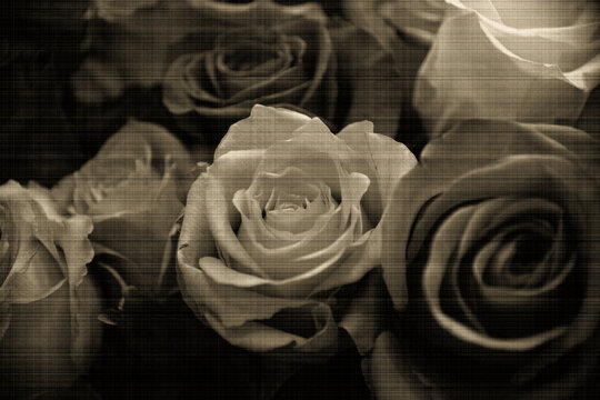 Romantisches Rosen-Bouquet im Vintage-Stil mit Leinwand-Textur und Sepia-T&ouml;nung
