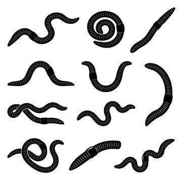 Black and white vector silhouette set of Earthworm