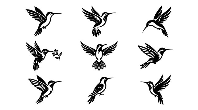 Black and white vector silhouette set of Hummingbird