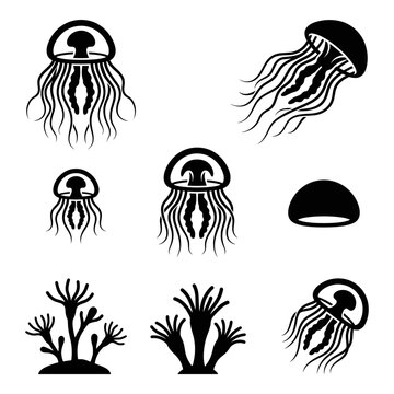 Black and white vector silhouette set of Immortal Jellyfish