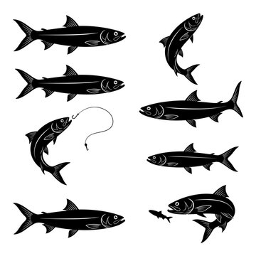 Black and white vector silhouette set of Ladyfish