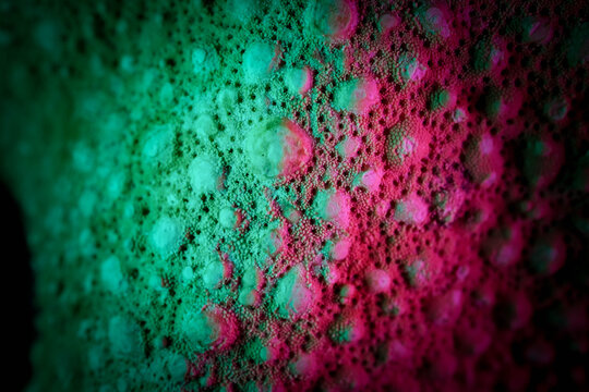 Colorful Macro Photography of Starfish Skin Surface Texture De
