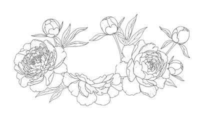 Delicate line floral wreath of peonies and buds white peony flower © Mehedi