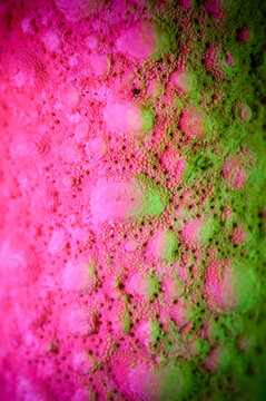 Colorful Macro Photography of Starfish Skin Surface Texture De