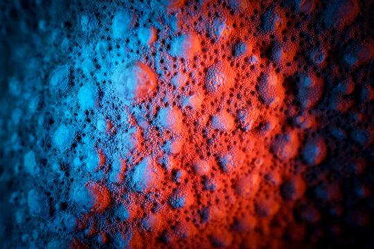 Colorful Macro Photography of Starfish Skin Surface Texture De