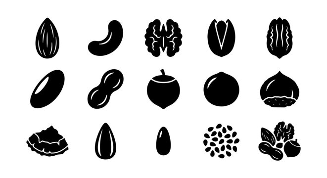 12-piece nut and seed vector icons on white background