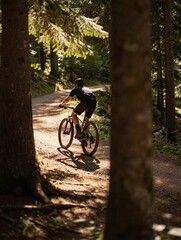Naklejka premium Cyclist riding mountain bike on dirt path through sunlit pine forest ideal for outdoor adventure and cycling tourism