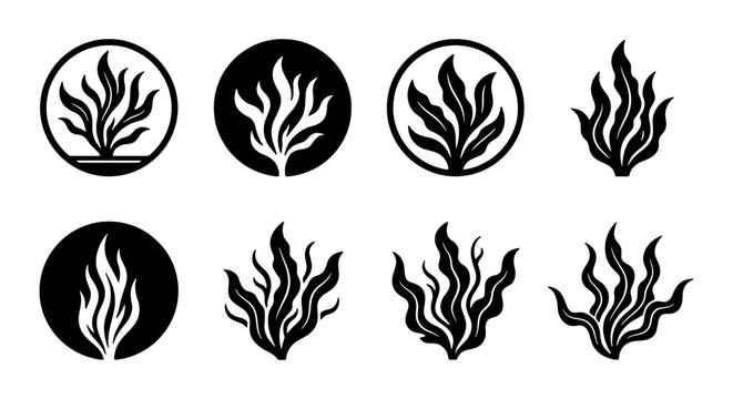 Seaweed Icons Set, Marine Plant Vector Graphics, Ocean Algae Symbols, Aquatic Flora Illustrations, Black and White