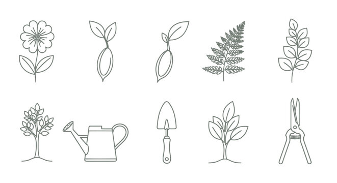 Botanical illustration of plant growth and gardening tools.