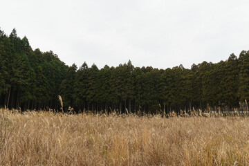 秋の風景 © Kiroku_to_Kankaku
