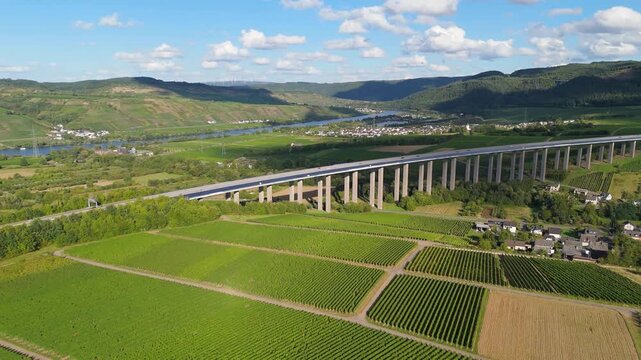 Moselle Viaduct Longuich, vineyard in Mosel valley, bridge of highway crossing river near Trier, german autobahn, aerial view