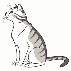 Cute gray and white tabby cat sitting and looking up © Shimu
