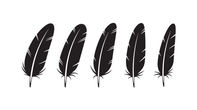 Feathers black silhouette set with five quill illustrations, detailed plumage and varying shapes featuring vector graphics, design elements, feather