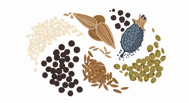 An artistic arrangement of various spices, including black peppercorns, cumin, and cardamom