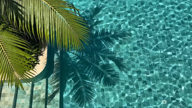Palm leaf and pool water perfect for UI/UX design and motion graphics