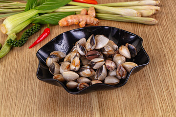 Raw fresh wild clams mollusc © Andrei Starostin