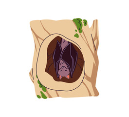 Obraz premium Cute baby bat sleeps in tree hollow hanging upside down. Asleep rearmouse has a rest in trunk hole. Forest animal has a nap in its house. Flat isolated vector illustration on white background
