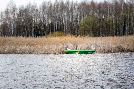 Abandoned wooden boat resting near reeds on calm lakeshore in soft spring light. Atmospheric natural scene. Concept of solitude, time passing and quiet reflection in Siemianowka, Poland.