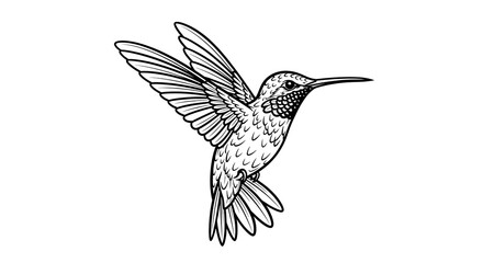 Obraz premium Hummingbird flying in mid-air illustration