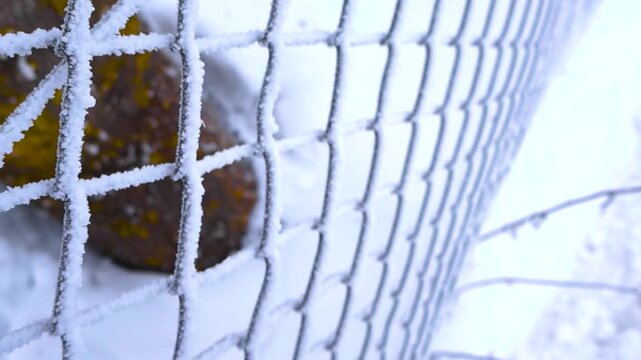 Hoarfrost Covering a Metal Chain Link Fence in Winter
