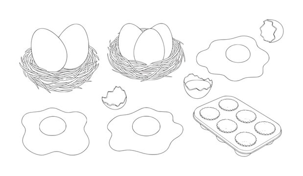 Hand drawn eggs in nests fried eggs and muffin tin outline