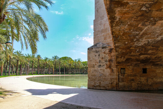 Massive stone bridge arch reflecting in still pond water among lush palm trees in Turia Garden. Valencia, Spain, Mediterranean.