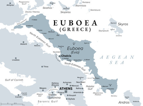 Euboea, Greek island, gray political map with capital Chalcis. Also known as Evia, second-largest island of Greece, separated from the mainland by the narrow Euripus Strait and Euboean Gulf. Vector