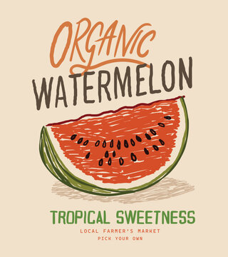 Hand drawing Fresh watermelon fruit print.Organic fruit market. Sweet watermelon t shirt artwork.Fresh watermelon fruit print. Watermelon fruit club print design. Watercolor fruit painting