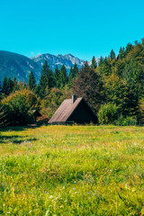 Fototapeta premium Traditional countryside cottage surrounded by fields and forest in green Slovenian landscape.