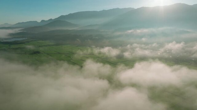 Aerial views of the rice field with clouds. Flying above the clouds