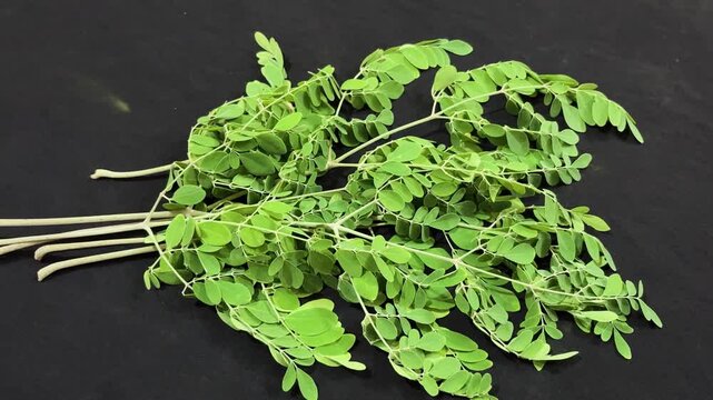 moringa oleifera leaves healthy nutrition plant ingredient