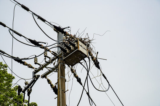 電柱の上に作られた鳥の巣