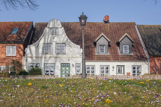 Historic house with crocus flowers in T�nning, Germany