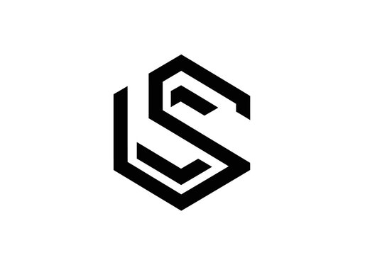 Modern geometric letter S and L corporate logo emblem